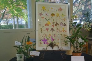 wp_20161104_004-copy